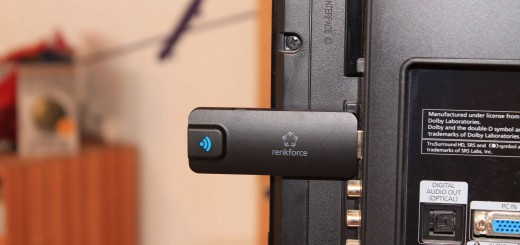 renkCast Stick